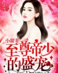至尊帝少的盛宠