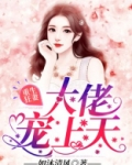 重生狂妻,大佬宠上天