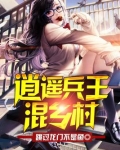 逍遥兵王混乡村