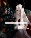将婚错爱