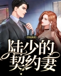 替嫁新娘，陆少的契约妻