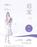 追宠