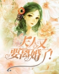 景少夫人又要离婚了小说