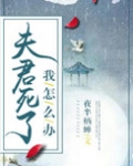 夫君死了我怎么办