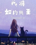 我将如约而至免费阅读
