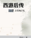 西游后传之四海之乱