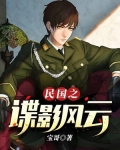 民国之谍影风云