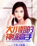 大小姐的神级高手