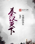 秦汉之汉