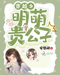 穿越之明萌贵公子