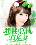 邪魅总裁的宠妻