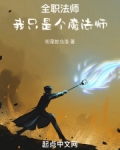 全职法师：我只是个魔法师