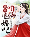 驸马，咱俩退婚吧！