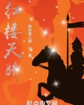 红楼天骄书评