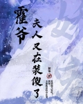 霍爷,夫人又去摆地了