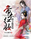 帝红妆小说