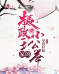摄政王家的小公举