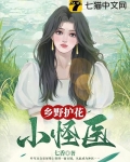 乡村小野医回乡