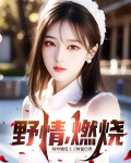 燃烧的野火是什么歌