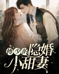 傅少的隐婚小甜妻