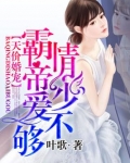 霸情帝少爱不够