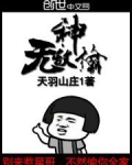 无敌神偷小说
