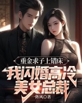 重金求子上错床,我闪婚高冷美女总裁