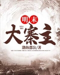 明末大寨主