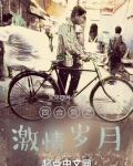 四合院之激情岁月