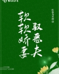软软娇妻驭恶夫