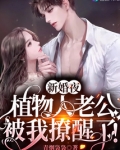 新婚夜植物人老公被我撩醒了短剧大结局