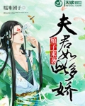 娘子来袭:夫君如此多娇