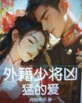 授予少将军衔的外国人