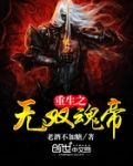 重生之无双魂帝