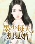 墨少每天想复婚