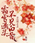 霜雪满头,不见白首小说