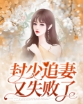 封少追妻路太难无广告弹窗
