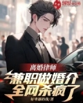 离婚律师前景