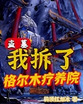 盗墓:我拆了格尔木疗养院TXT下载