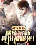 灵气复苏：横练宗师身份被曝光！