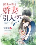 重生八零:娇妻引入怀