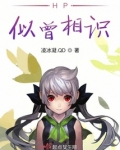似曾相识吧