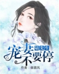 陆先生,宠妻不要停