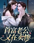 小说首富老公