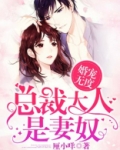 婚宠无度:总裁大人是妻奴