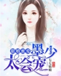 甜婚蜜爱:墨少,太会宠