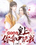 神算福妃:皇上,你命中缺