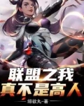 联盟之我真不是高人