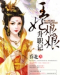 王妃娘娘升职记