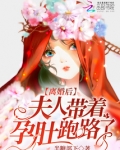 离婚后夫人马甲掉了的小说